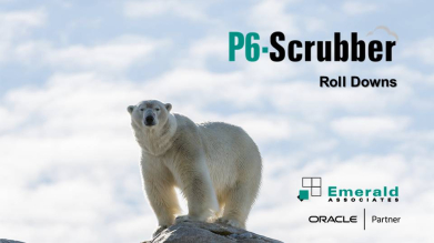 P6-Scrubber Roll Downs